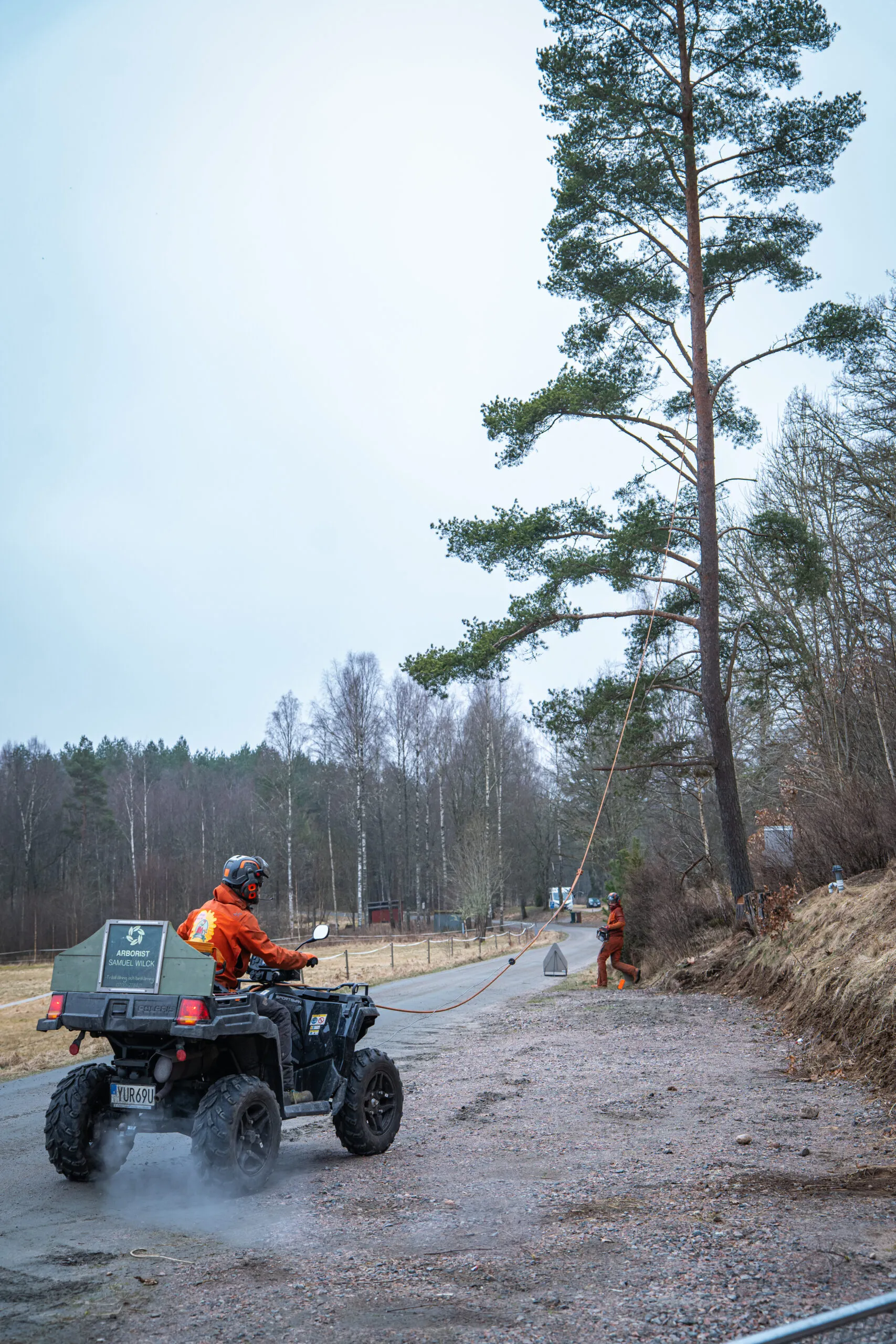 Röjning
